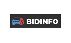 Bidinfo.app logo