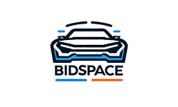 Bidspace.info logo