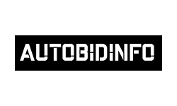 Autobidinfo.com logo