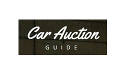 Car-auction-guide.com logo
